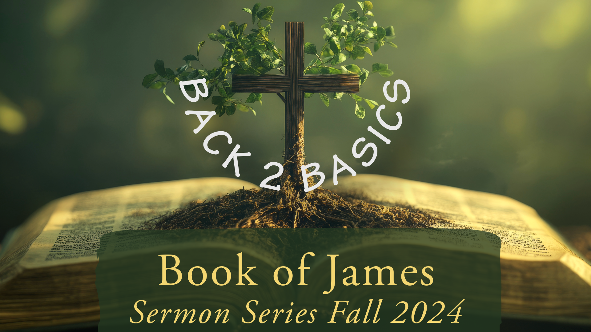 Cross_lutheran_Fall 2024 James Back to Basics Series